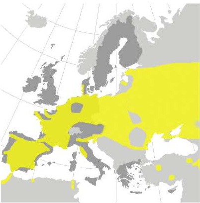 Hedehøgens yngleudbredelse i Europa (kilde: Europakommissionen).