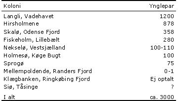 Kolonistørrelser 2004