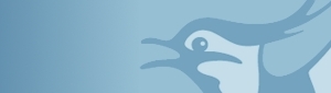 DOF logo